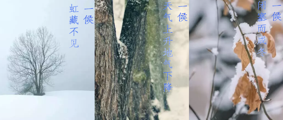 今日小雪，寒潮來襲，洗瓶機來幫你解放雙手吧！